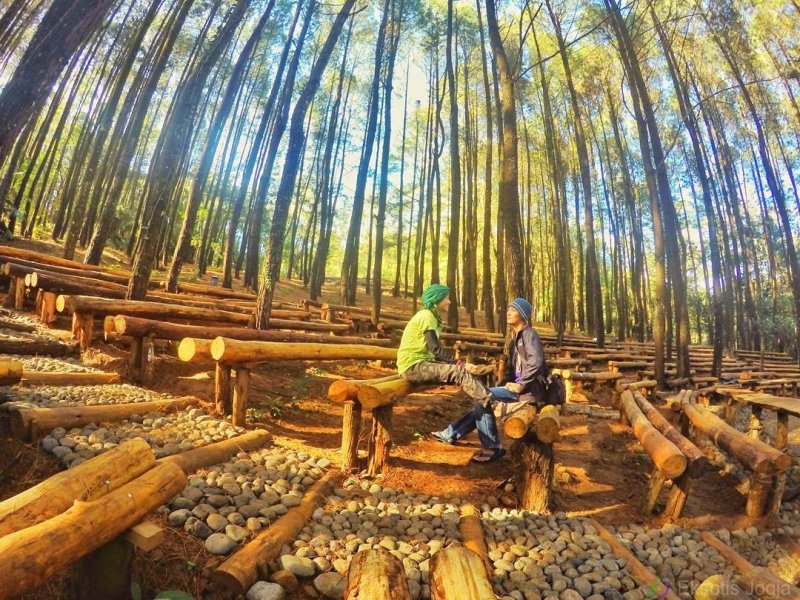 Rekreasi Alam di Hutan Pinus Mangunan, Jogja Wisata Diary